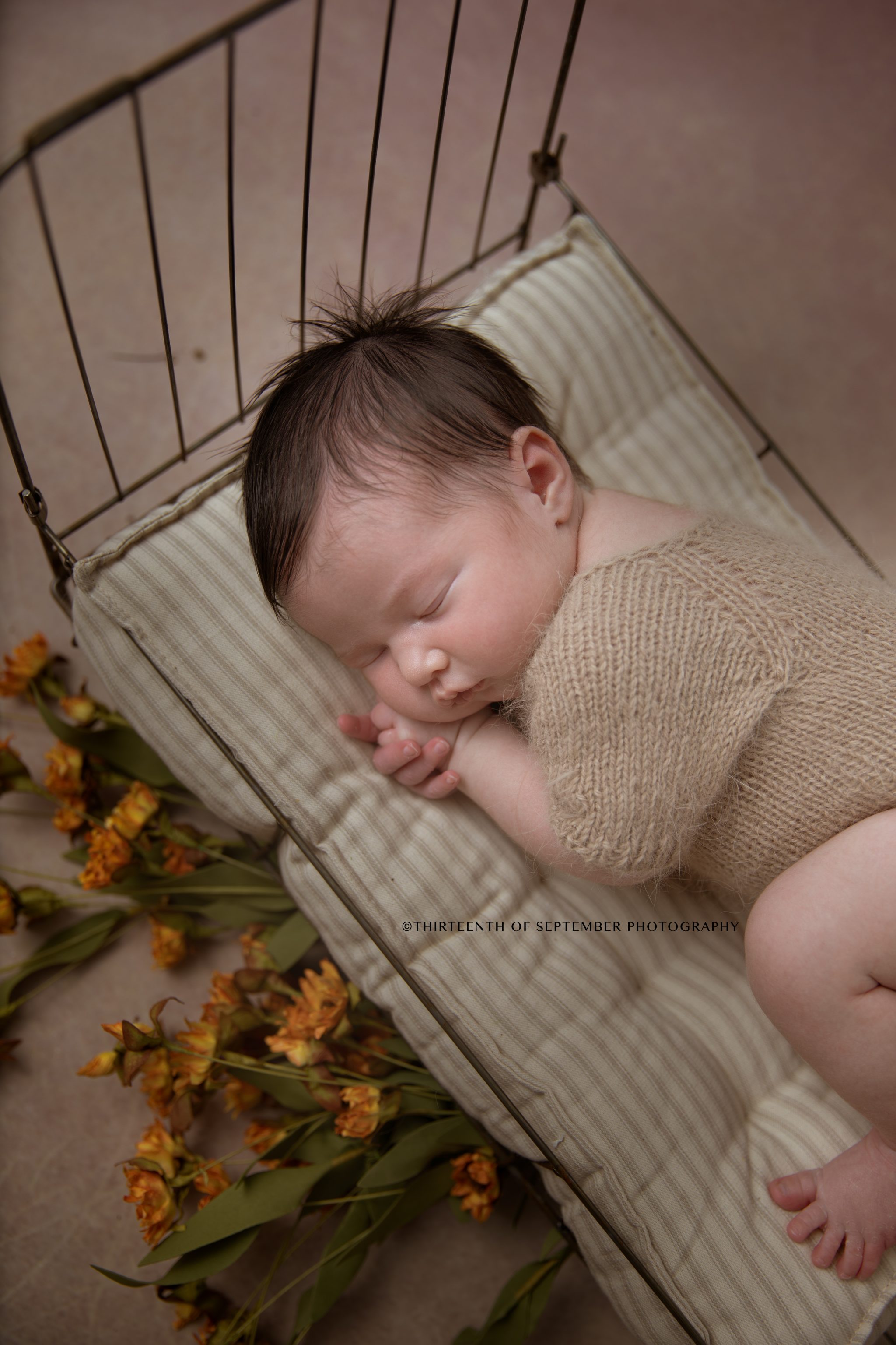 In studio newborn session with baby girl